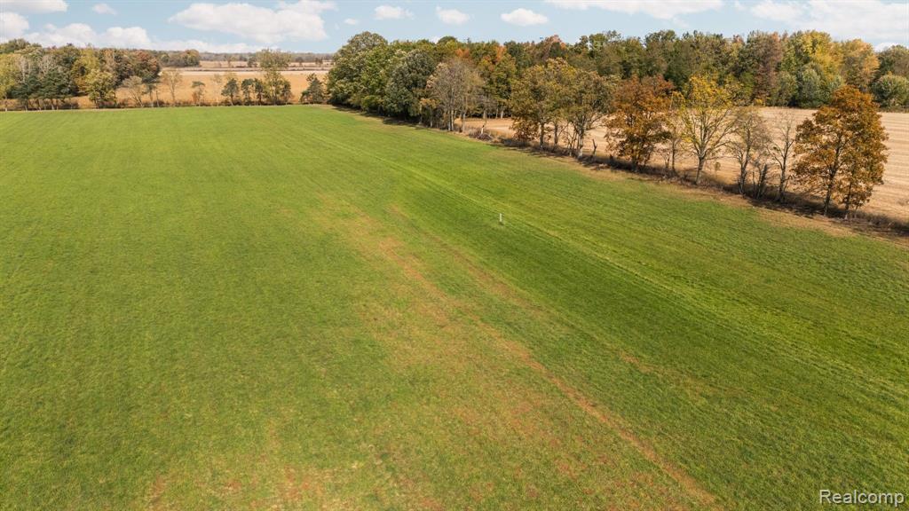 3345 E DANSVILLE Road, Dansville, MI 48819 — Photo 15