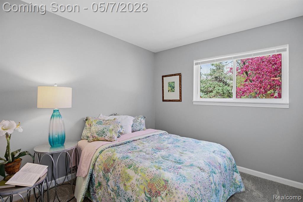30022 Midfield Drive, New Haven, MI 48048 — Photo 9