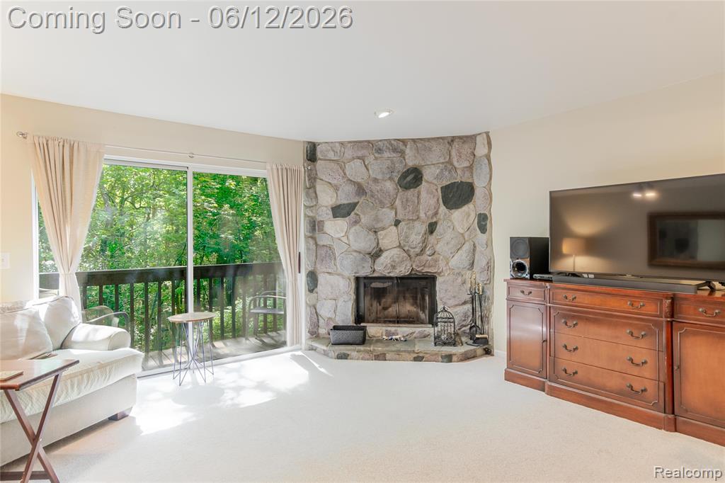 234 Lyn Anne Court, Ann Arbor, MI 48103 — Photo 9