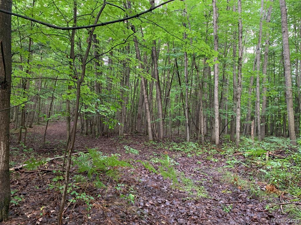 433 Lund Road SW, Fife Lake, MI 49633 — Photo 19