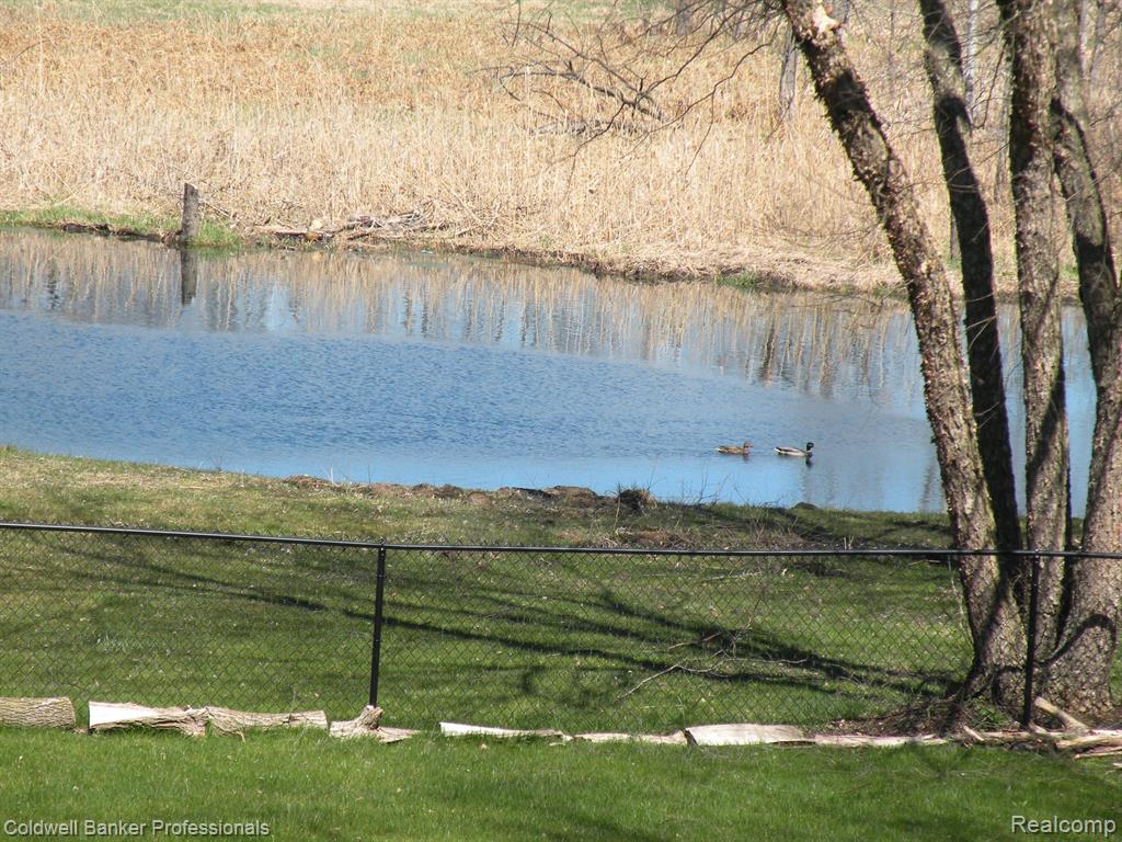 6253 7 MILE Road, South Lyon, MI 48178 — Photo 60
