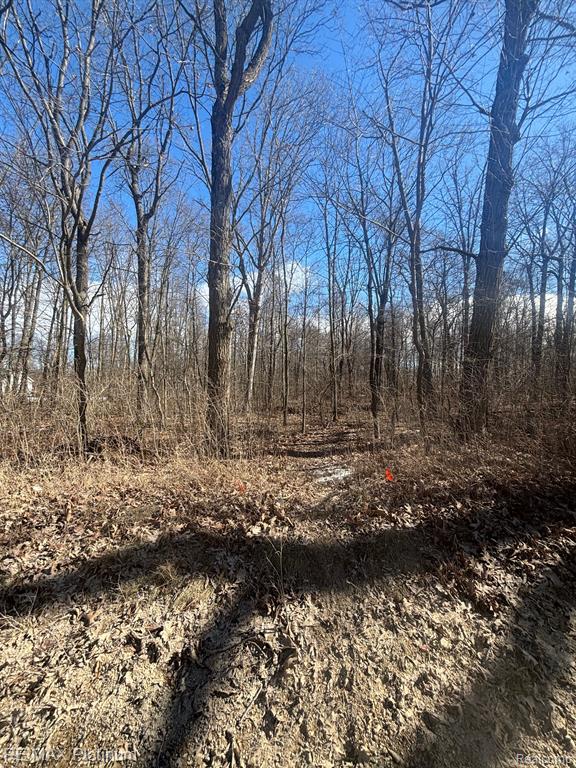 V/L HARTLAND ROAD, Fenton, MI 48430 — Photo 5