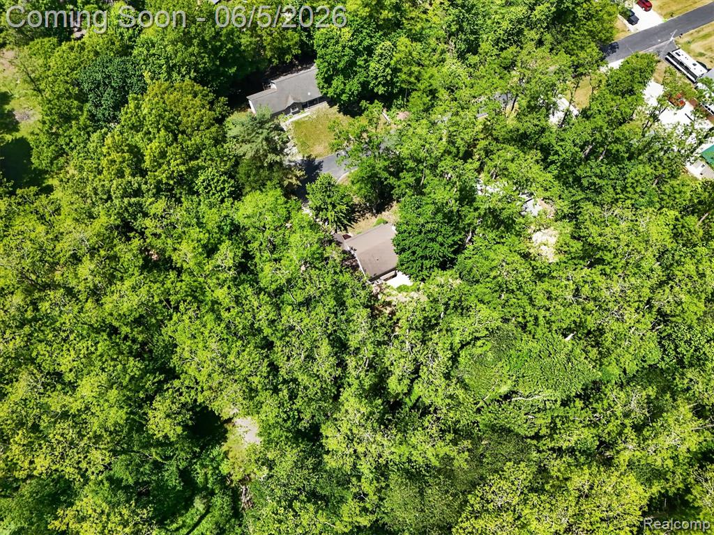 15129 Locust Grove Drive, Byron, MI 48418 — Photo 59