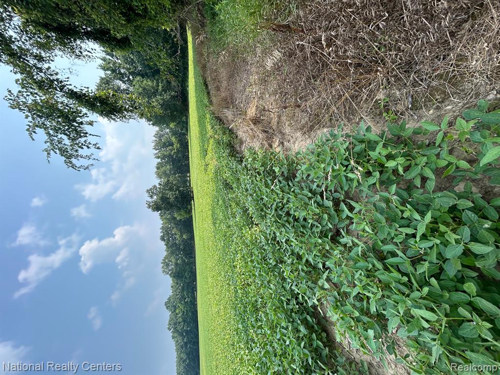 5438 N Henderson Road, Davison, MI 48423 — Photo 10