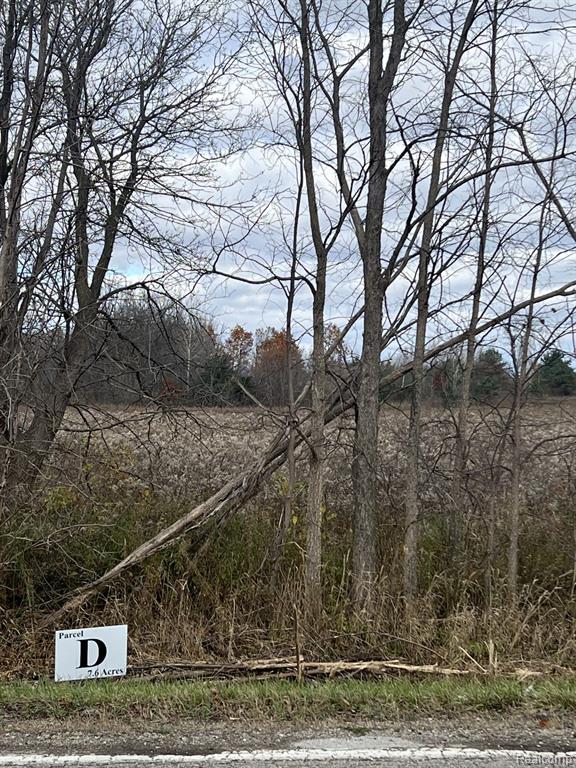 VL Davis Lake Rd. Road, Lapeer, MI 48446 — front exterior