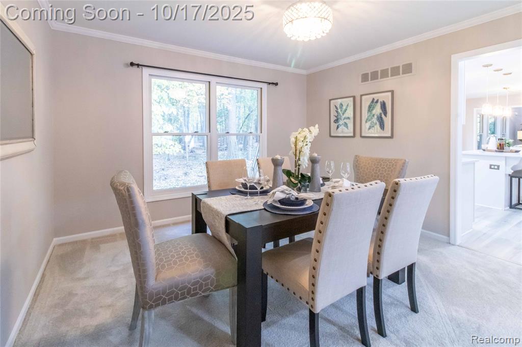 4070 Blue Heron Drive, Auburn Hills, MI 48326 — Photo 16