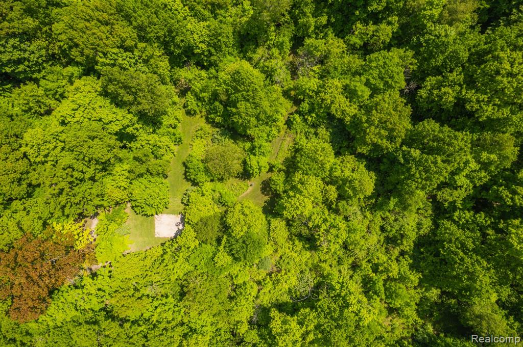 5177 Merwin Road, Lapeer, MI 48446 — Photo 64