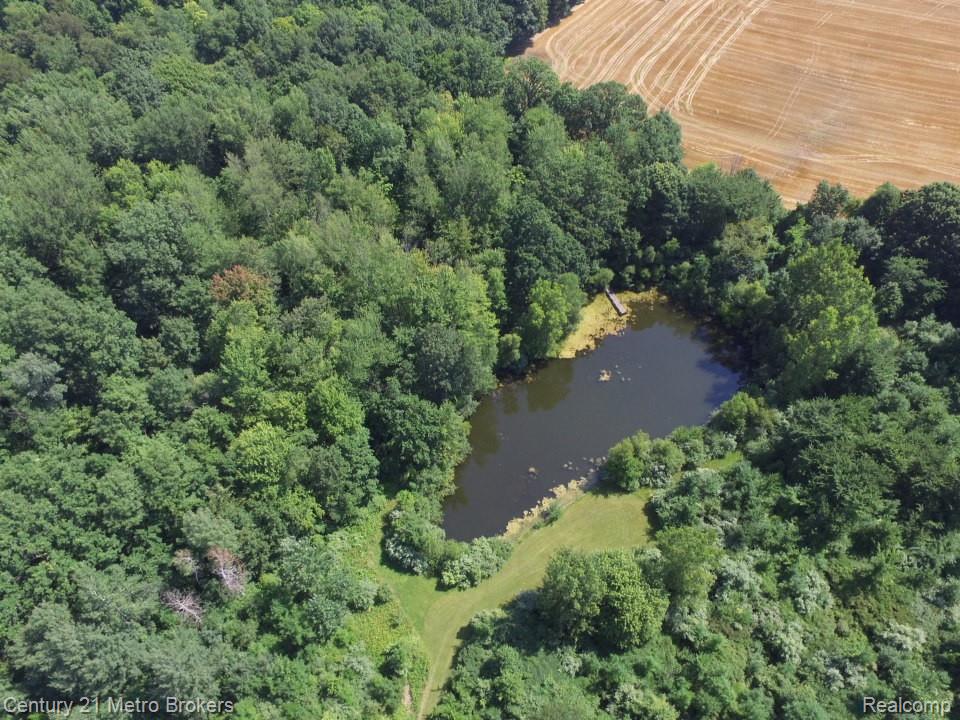 10190 Oak Road, Otisville, MI 48463 — Photo 49