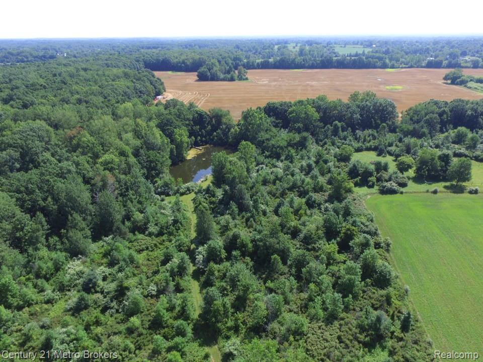 10190 Oak Road, Otisville, MI 48463 — Photo 41