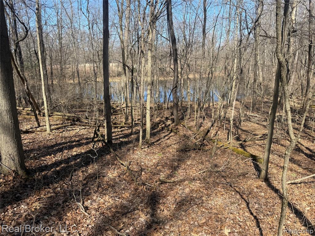 1802 N Elba Road, Lapeer, MI 48446 — Photo 50