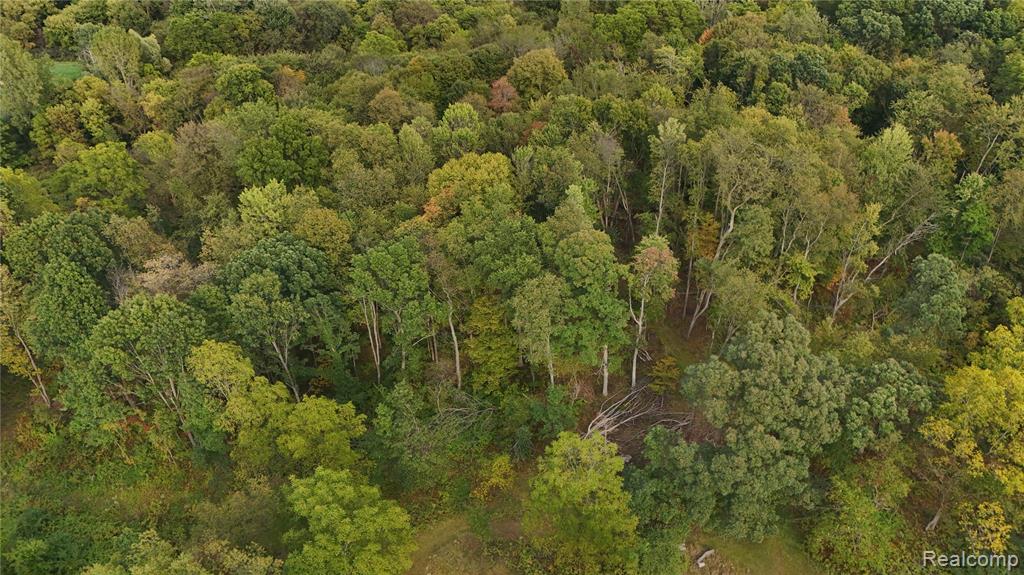 3745 Green Corners Road, Metamora, MI 48455 — Photo 82