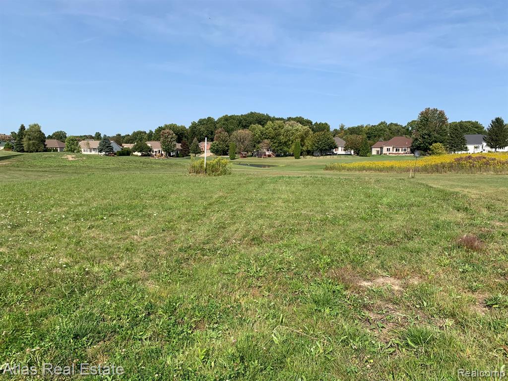 9075 Copper Ridge Drive, Davison, MI 48423 — Photo 10
