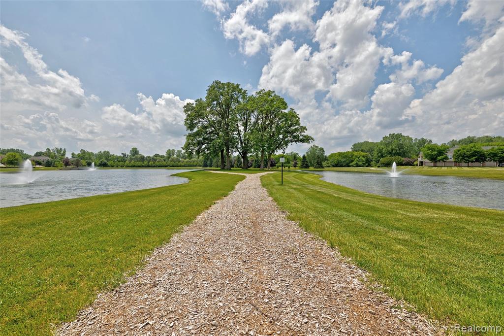 28545 Cottage Lane, New Hudson, MI 48165 — Photo 72