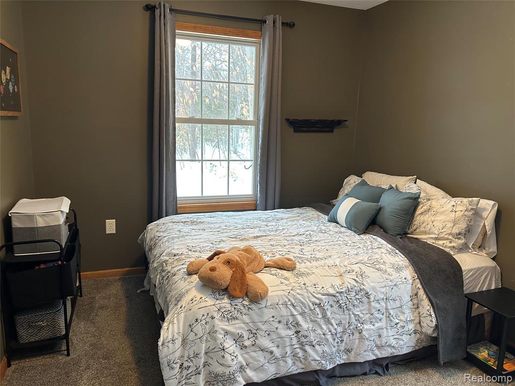 9642 Hummingbird Ct, Howard City, MI 49329 — Photo 14