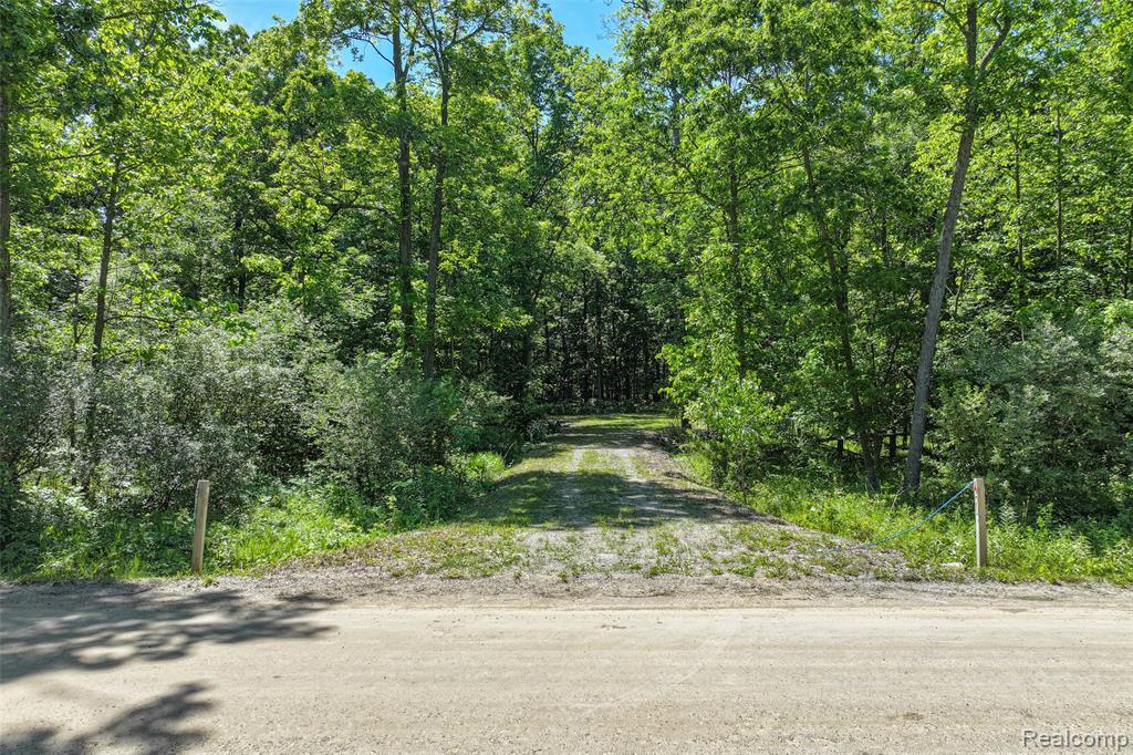 3075 Crandall Road, Howell, MI 48855 — Photo 13