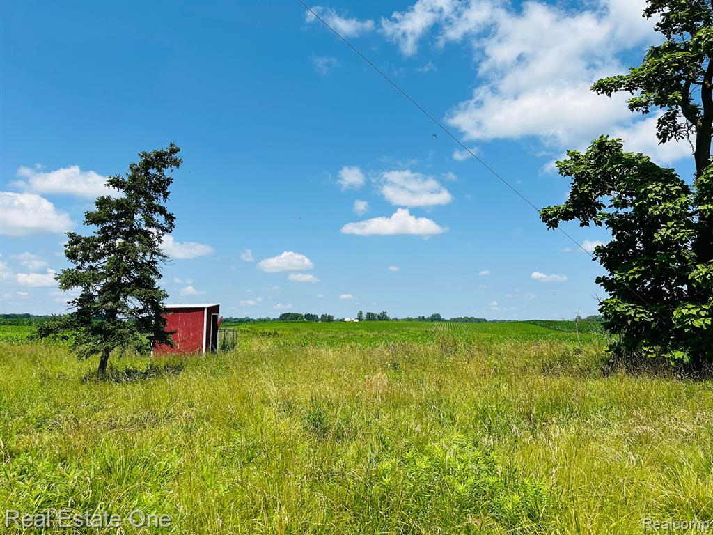 8691 PECK Road, Marlette, MI 48453 — Photo 8