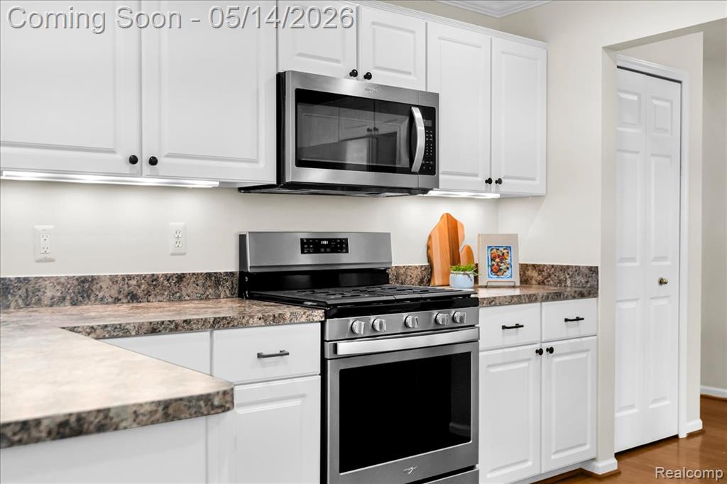 1169 Churchill Circle, Rochester, MI 48307 — Photo 19