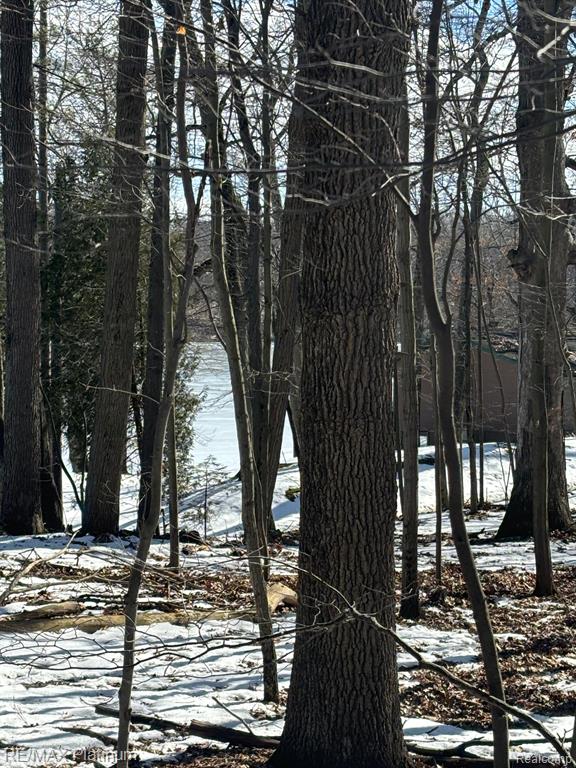 V/L TIPSICO LAKE ROAD, Holly, MI 48442 — Photo 10