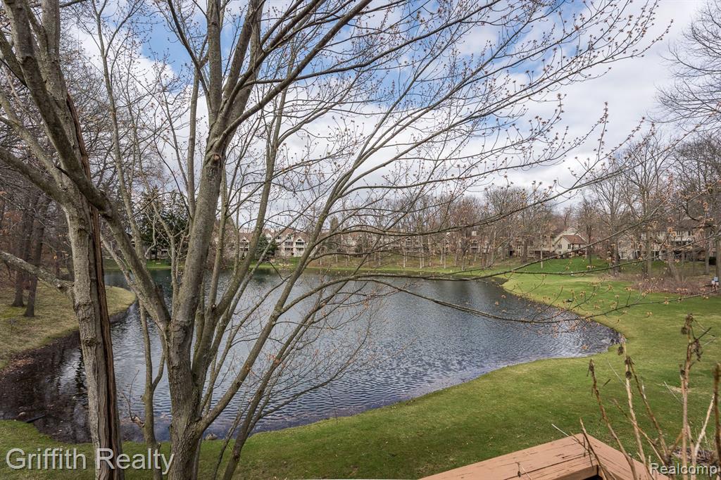 4553 GOLF VIEW Drive, Brighton, MI 48116 — Photo 5