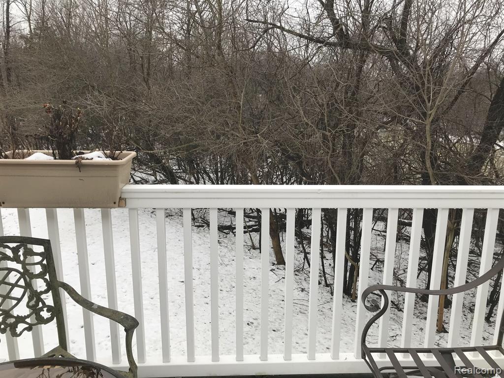 756 FIELDSTONE Circle W, Chelsea, MI 48118 — Photo 13