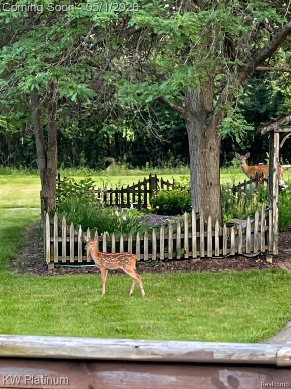 26050 Irwin Road, Richmond, MI 48062 — Photo 42