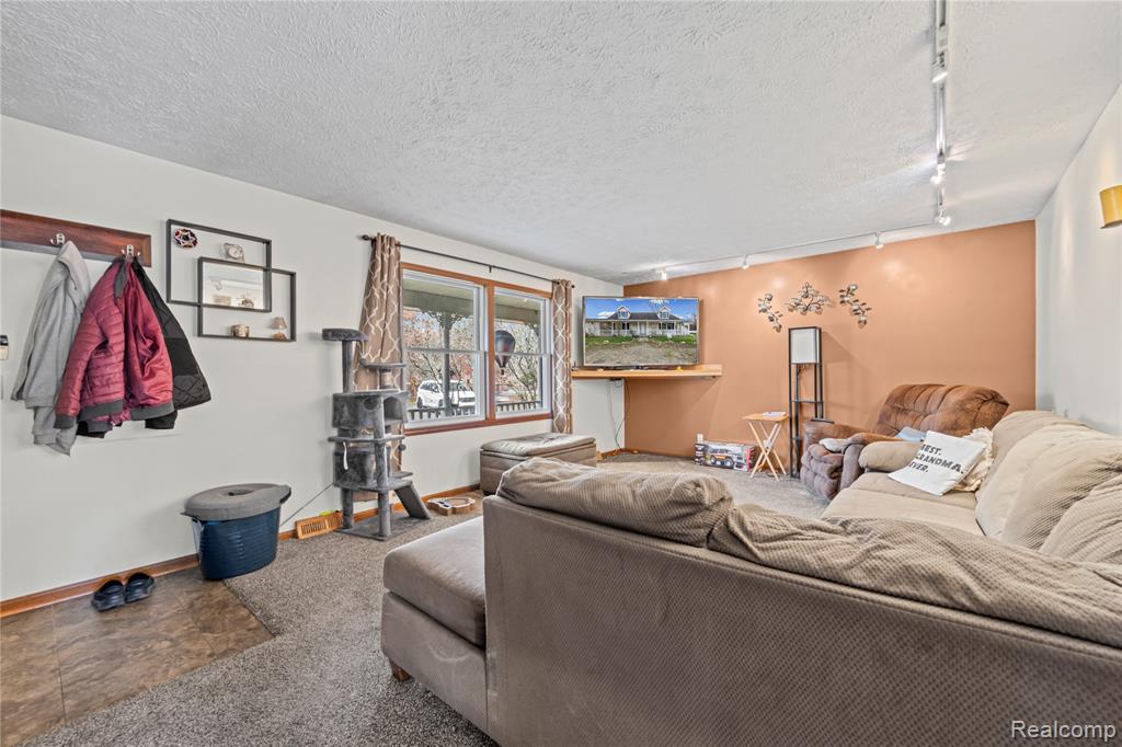 43865 Willow Road, Belleville, MI 48111 — Photo 5
