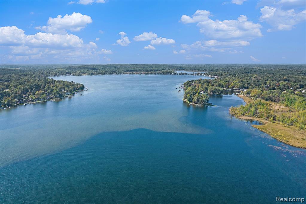 11109 Wynns Road, Pinckney, MI 48169 — Photo 4