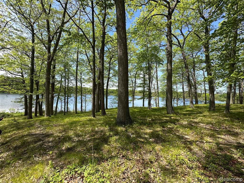 6727 Sherman Street, Otter Lake, MI 48464 — Photo 7