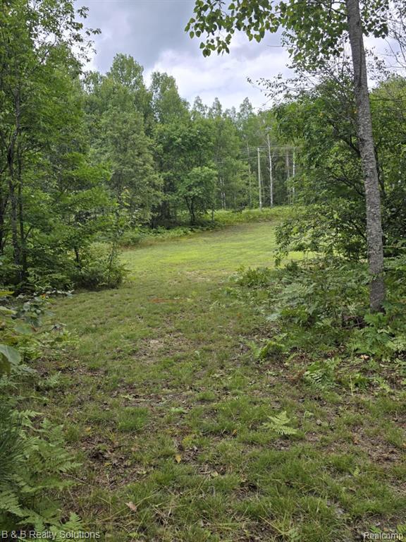 6961 PINEVIEW Drive, Mancelona, MI 49659 — Photo 24