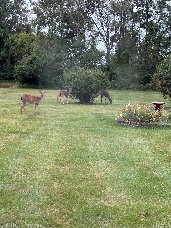 12980 Metcalf Road, Brockway, MI 48097 — Photo 13