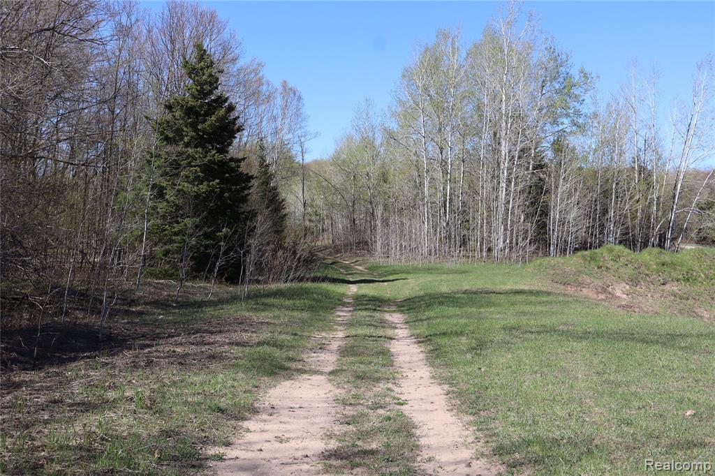 5575 E 26 Mile Road, Pickford, MI 49774 — Photo 29