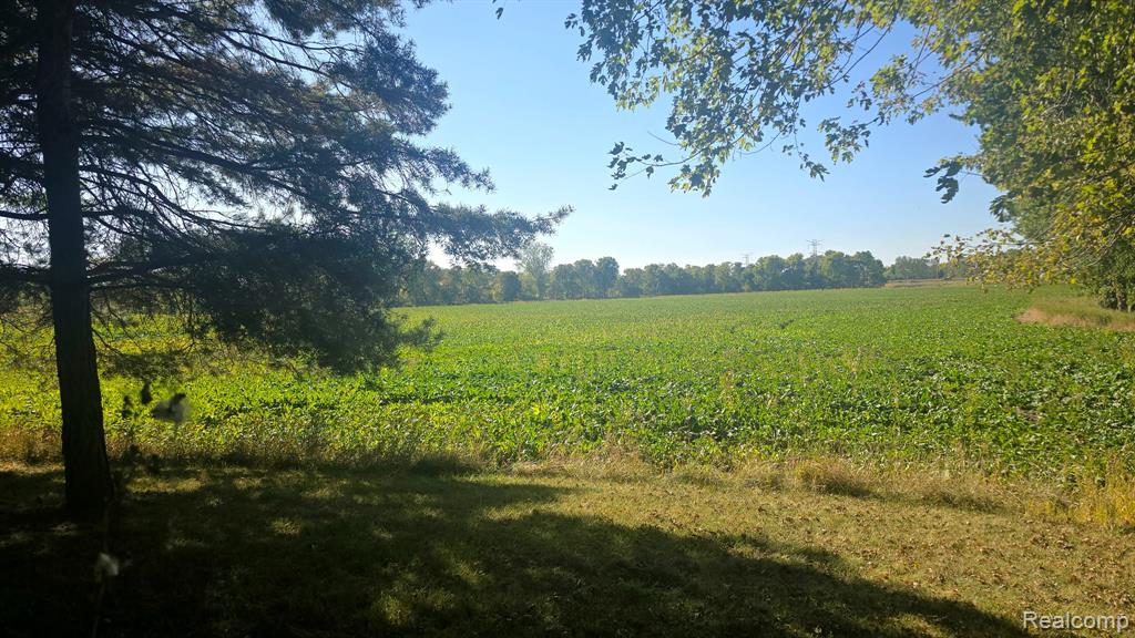 14600 Corunna Road, Chesaning, MI 48616 — Photo 37
