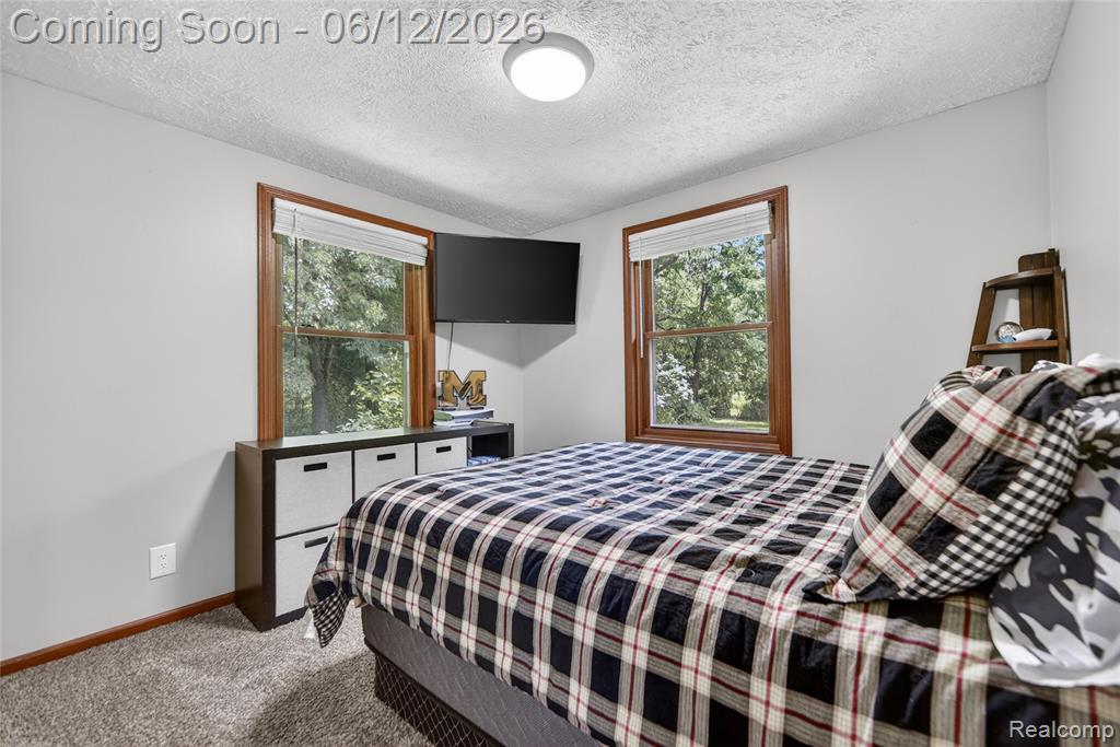 13635 Unadilla Road, Gregory, MI 48137 — Photo 21