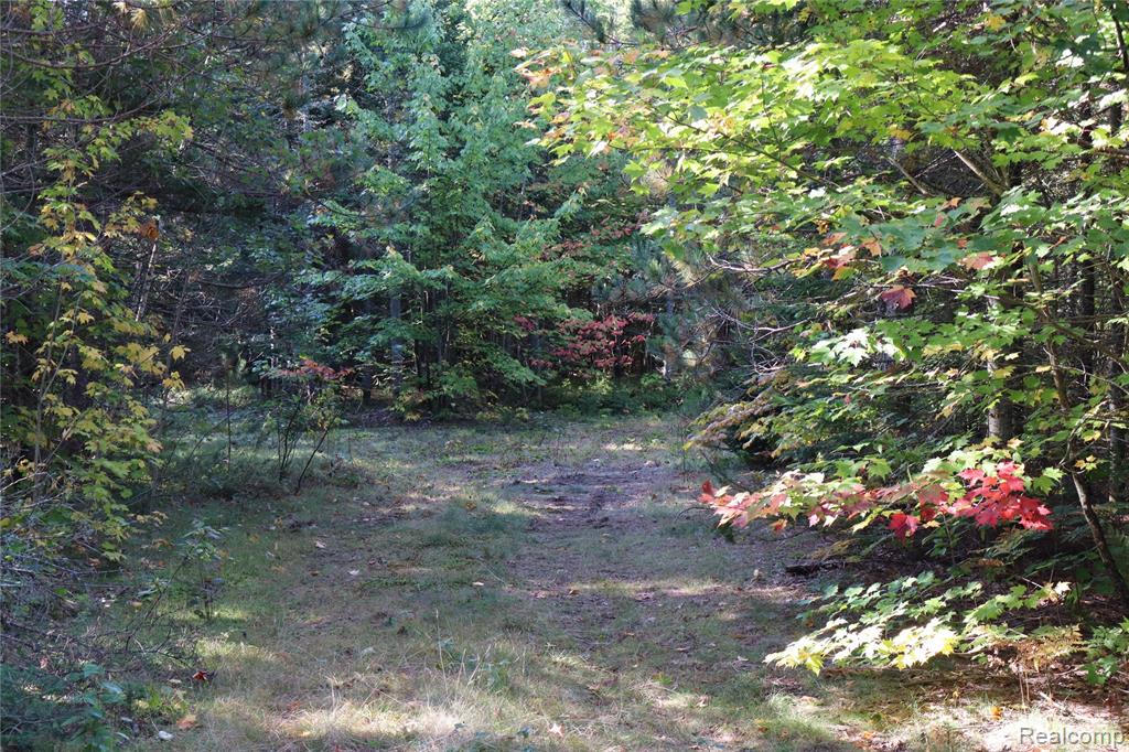 Lot D W Pendills Lake Road, Brimley, MI 49715 — Photo 42