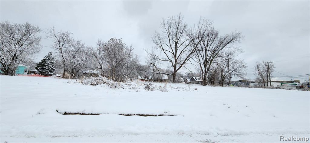 14405 MANNING Street, Detroit, MI 48205 — Photo 5