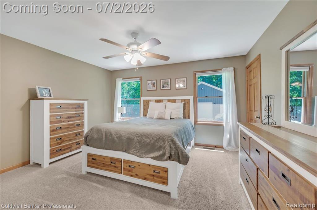 8224 Petz Road, Imlay City, MI 48444 — Photo 16