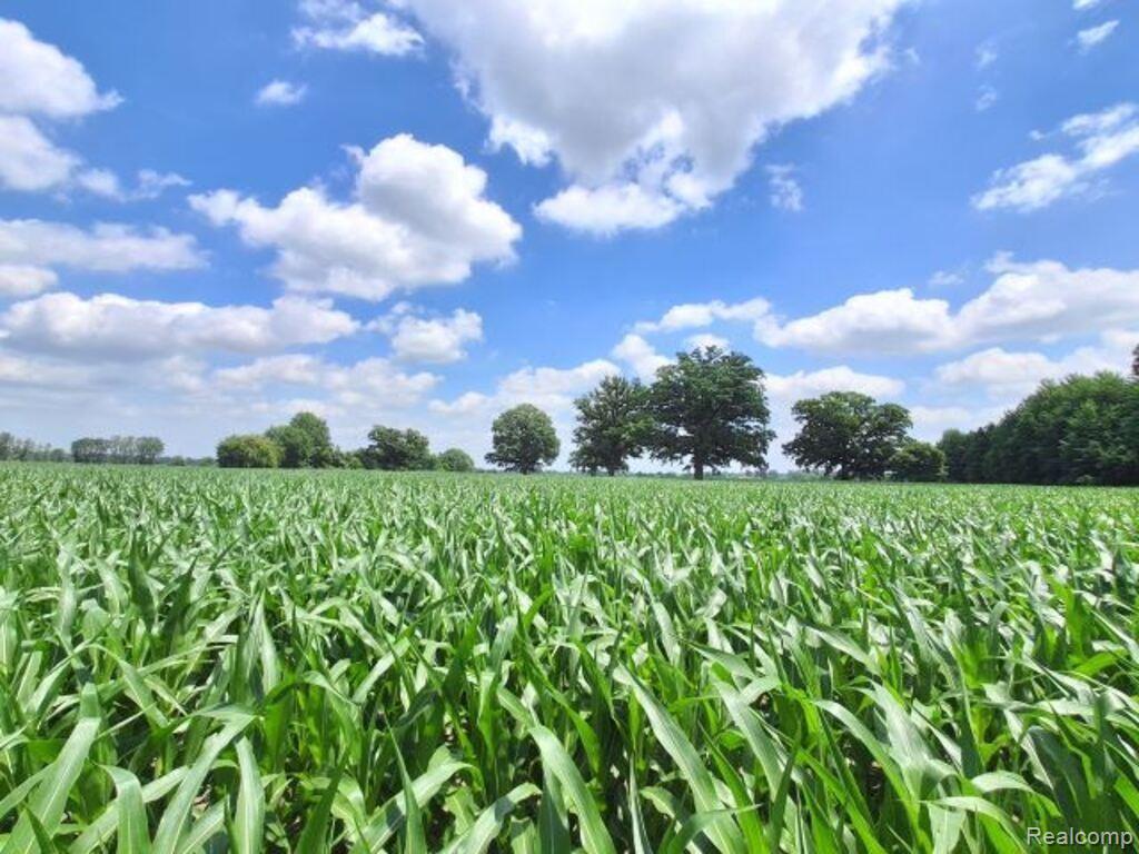 AUCTION Lot 94 acres Capac Road, Capac, MI 48014 — Photo 2