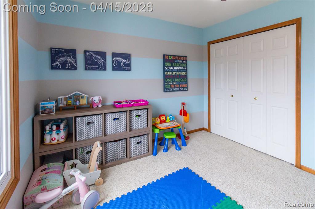 45229 Thorn Tree Lane, Macomb, MI 48044 — Photo 49
