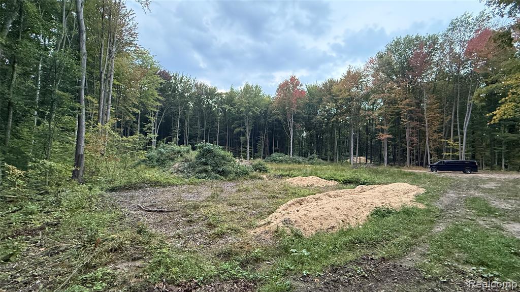 4528 N River Road, Clyde, MI 48049 — Photo 2