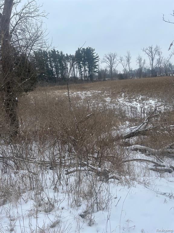 12840 LARKINS Road, Brighton, MI 48114 — Photo 2