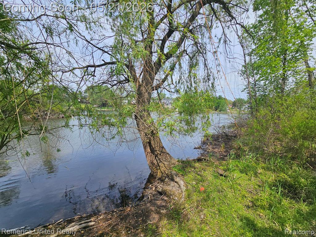 9270 River Valley Road, Brighton, MI 48116 — Photo 4