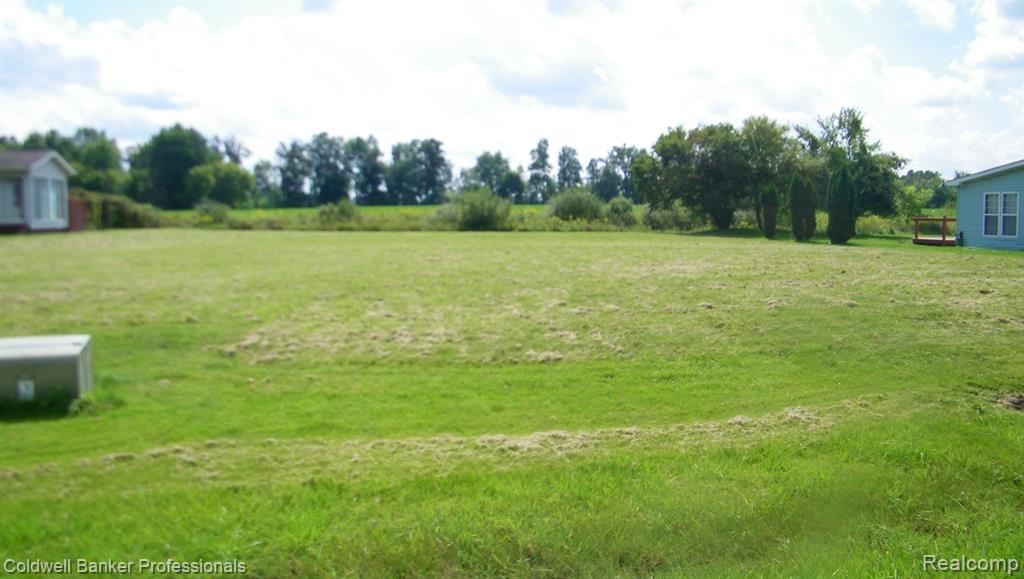 4364 COUNTRY Lane, North Branch, MI 48461 — Photo 3