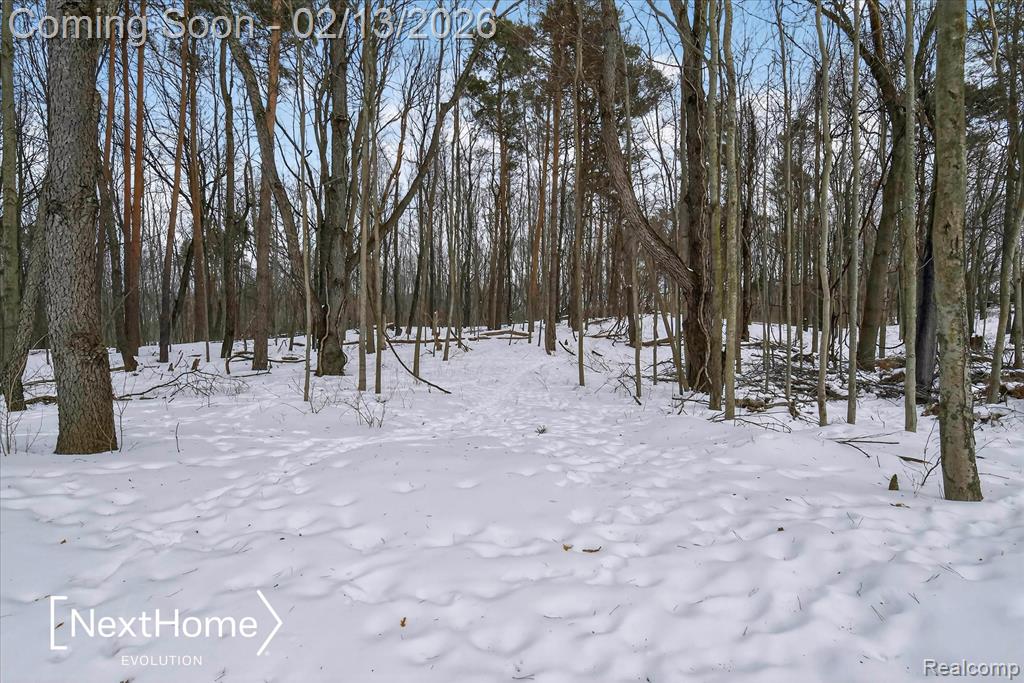 715 Glen Oak Drive, Manchester, MI 48158 — Photo 54