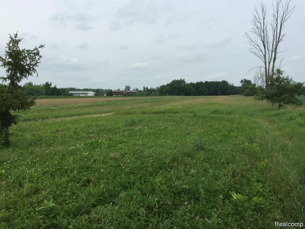 6350 Wolf Road, Brown, MI 48416 — Photo 28