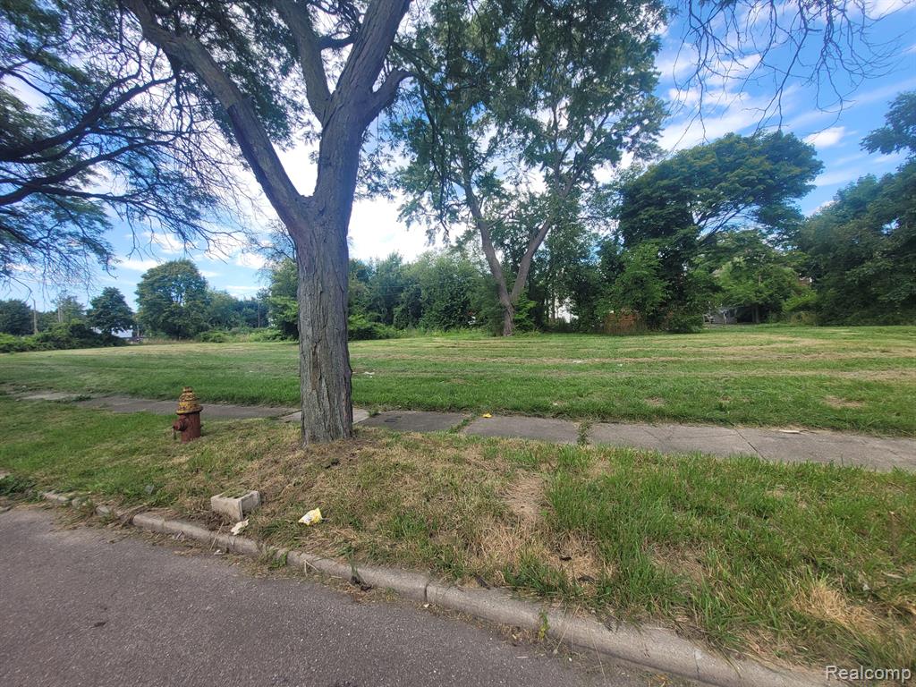 3254 CANTON Street - Photo 3