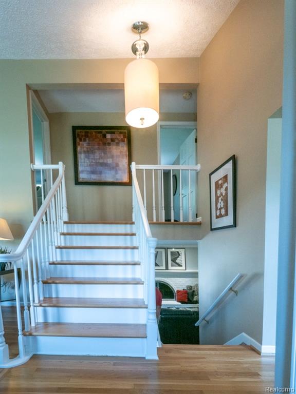 4923 Dusk Drive, Utica, MI 48316 — Photo 24