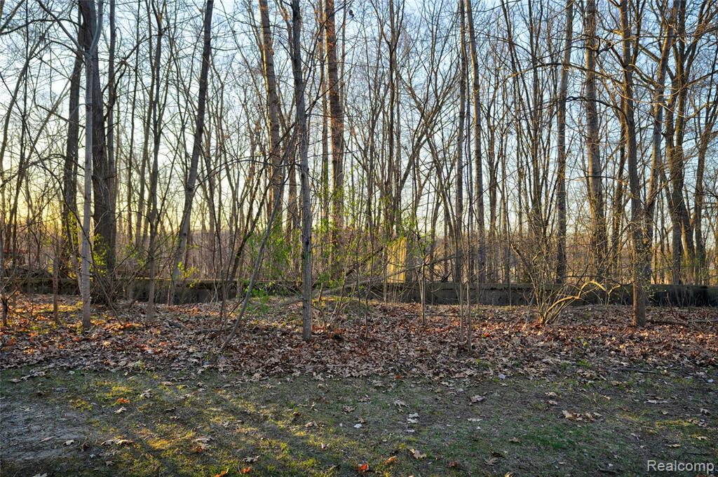 VL Pineview Lake Drive, Linden, MI 48451 — front exterior