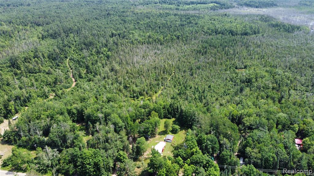 779 W Cr-612, Grayling, MI 49738 — Photo 15