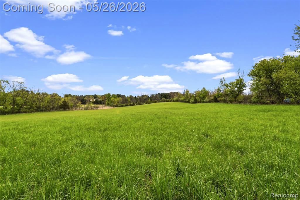 1145 S Washburn Road, Davison, MI 48423 — Photo 45