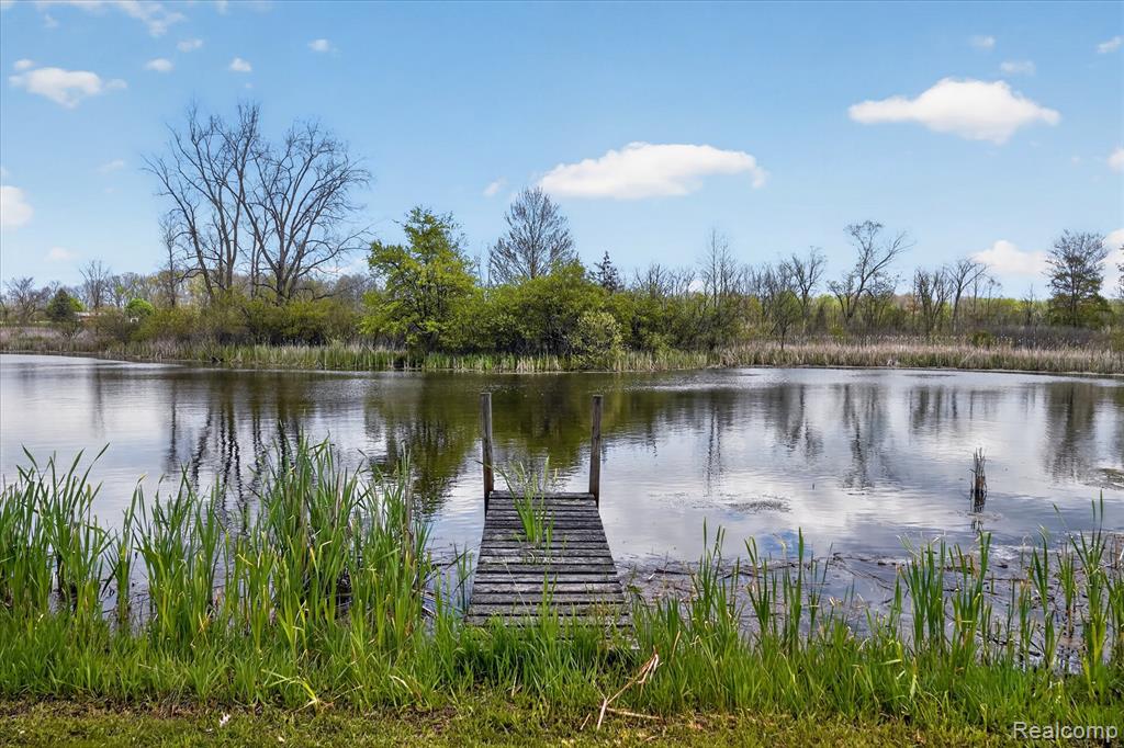 5640 Fowlerville Road, Fowlerville, MI 48836 — Photo 46